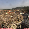 09_45-nest.jpg
