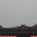 09_50-mast.jpg