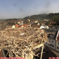 09_50-nest.jpg