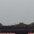 09_55-mast.jpg