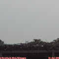 10_00-mast.jpg