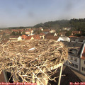10_05-nest.jpg