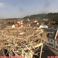 10_10-nest.jpg