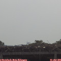 10_20-mast.jpg