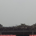 10_25-mast.jpg
