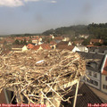 10_25-nest.jpg