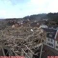10_35-nest.jpg