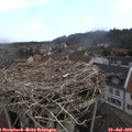 10_40-nest.jpg