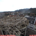 10_45-nest.jpg