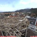 10_55-nest.jpg