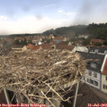 11_05-nest.jpg