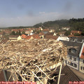 11_15-nest.jpg