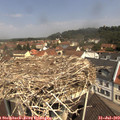 11_25-nest.jpg