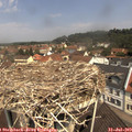 11_30-nest.jpg