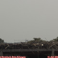 11_35-mast.jpg
