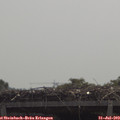 11_40-mast.jpg