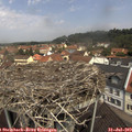 11_40-nest.jpg