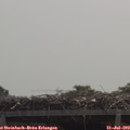 11_45-mast.jpg