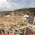 11_45-nest.jpg