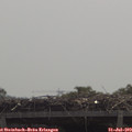 11_50-mast.jpg