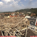 11_50-nest.jpg