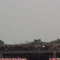 11_55-mast.jpg