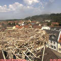 11_55-nest.jpg