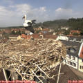12_15-nest.jpg