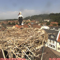 12_30-nest.jpg