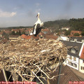 13_05-nest.jpg