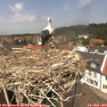 13_10-nest.jpg
