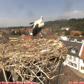 13_35-nest.jpg