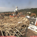 13_45-nest.jpg