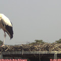 14_00-mast.jpg