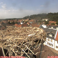14_10-nest.jpg