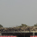 14_15-mast.jpg