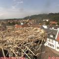 14_15-nest.jpg
