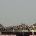 14_20-mast.jpg