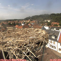 14_20-nest.jpg