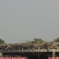14_25-mast.jpg