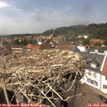 14_25-nest.jpg