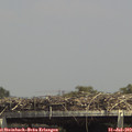 14_30-mast.jpg