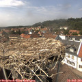 14_30-nest.jpg