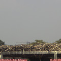 14_35-mast.jpg
