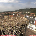 14_35-nest.jpg