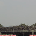 14_40-mast.jpg
