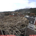 14_40-nest.jpg