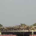 14_45-mast.jpg
