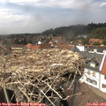 14_45-nest.jpg