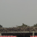 14_55-mast.jpg